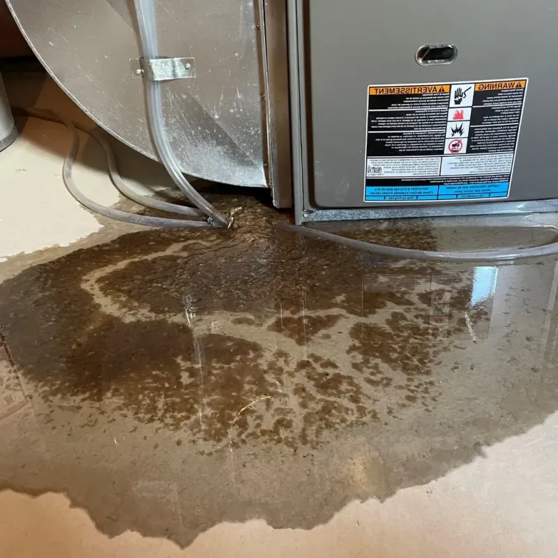 Pipe Burst and Leak Restoration in Tallapoosa, GA