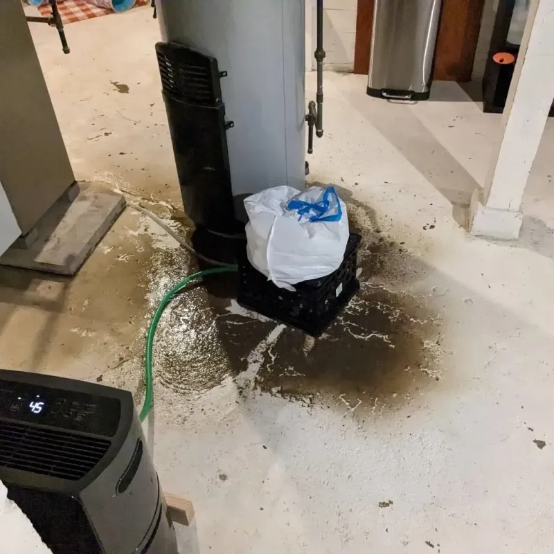 Sewage Backup Cleanup Service in Tallapoosa, GA